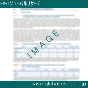 グローバルリサーチ調査レポートのイメージ